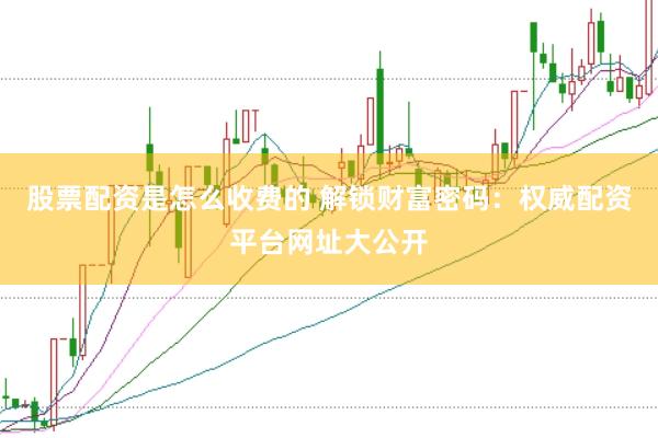 股票配资是怎么收费的 解锁财富密码：权威配资平台网址大公开