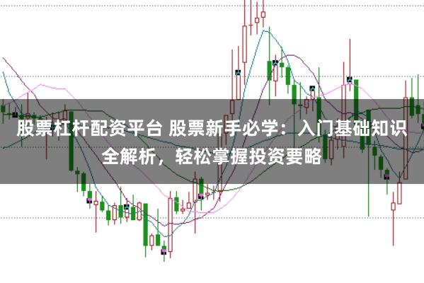 股票杠杆配资平台 股票新手必学：入门基础知识全解析，轻松掌握投资要略