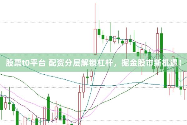 股票t0平台 配资分层解锁杠杆，掘金股市新机遇！