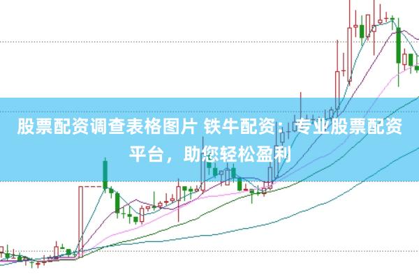 股票配资调查表格图片 铁牛配资：专业股票配资平台，助您轻松盈利