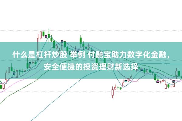 什么是杠杆炒股 举例 付融宝助力数字化金融，安全便捷的投资理财新选择
