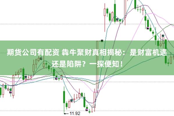 期货公司有配资 犇牛聚财真相揭秘：是财富机遇还是陷阱？一探便知！